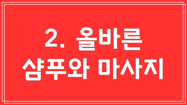 2. 올바른 샴푸와 마사지