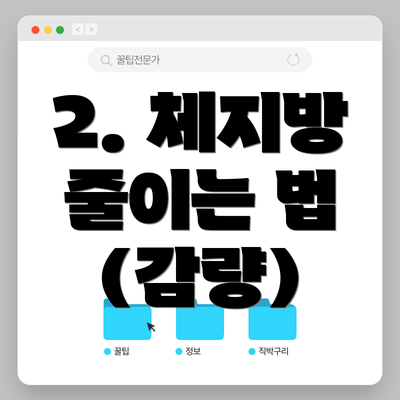 2. 체지방 줄이는 법 (감량)