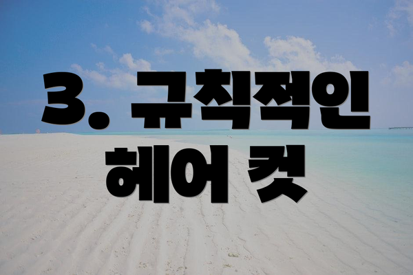 3. 규칙적인 헤어 컷