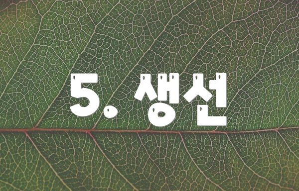 5. 생선