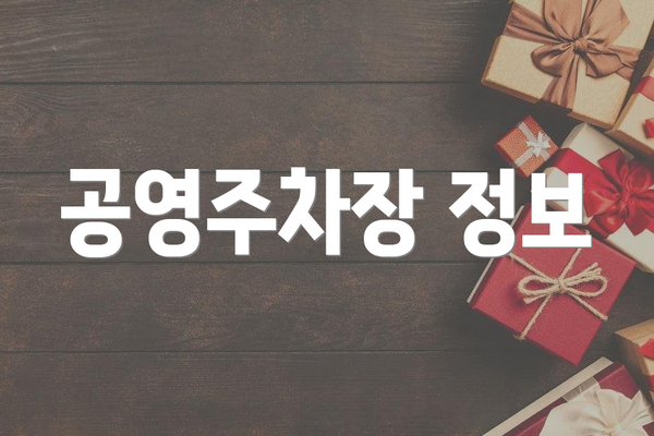 공영주차장 정보