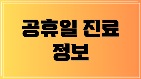 공휴일 진료 정보