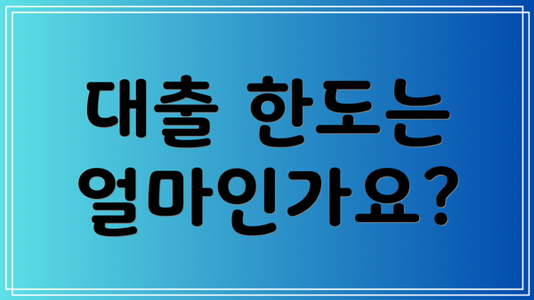 대출 한도는 얼마인가요?