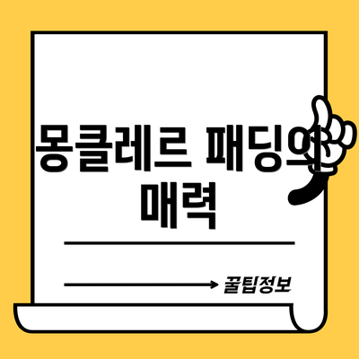 몽클레르 패딩의 매력