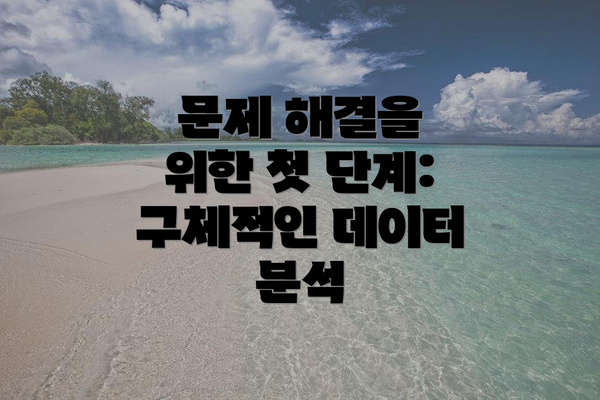 문제 해결을 위한 첫 단계: 구체적인 데이터 분석