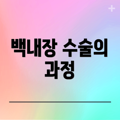 백내장 수술의 과정