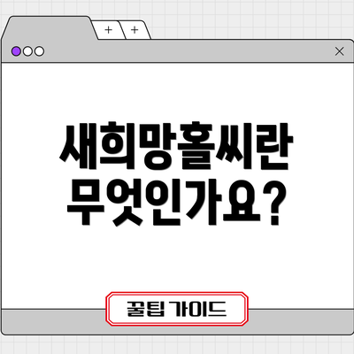 새희망홀씨란 무엇인가요?