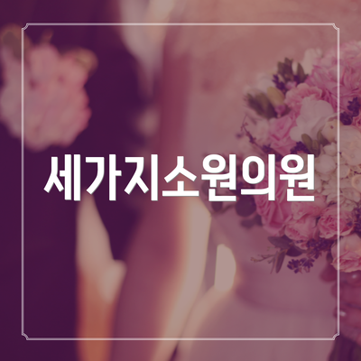 세가지소원의원