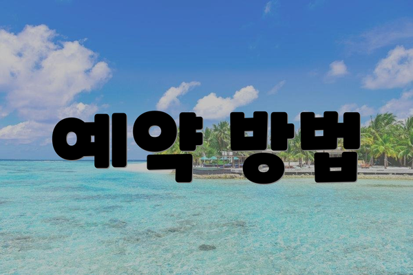 예약 방법