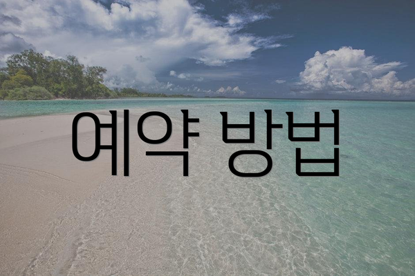 예약 방법