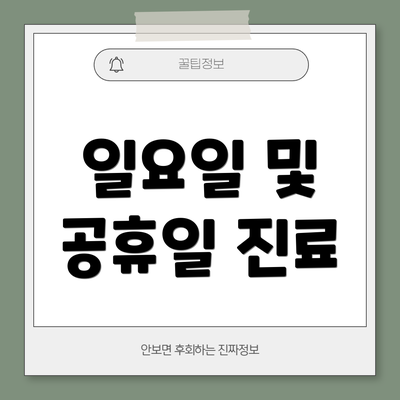 일요일 및 공휴일 진료