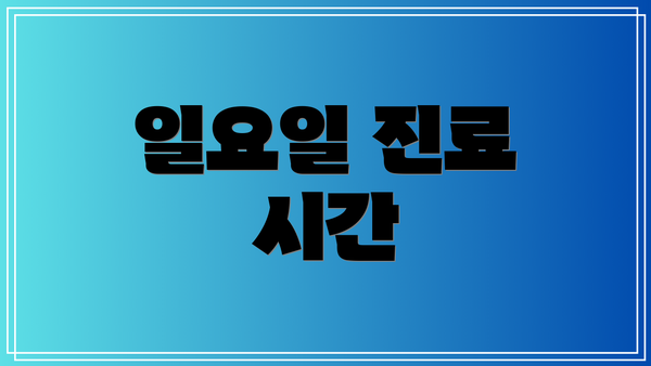 일요일 진료 시간