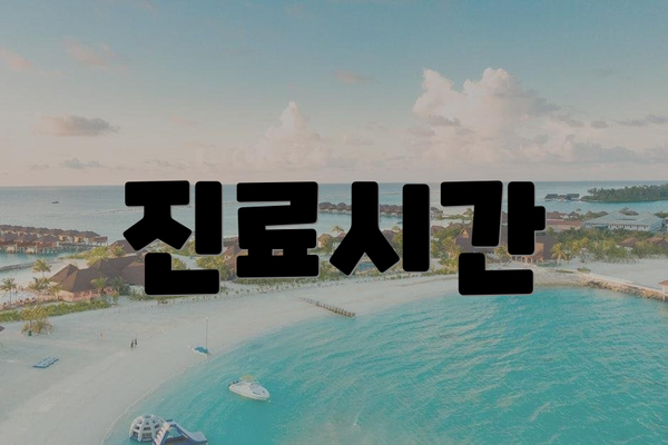 진료시간
