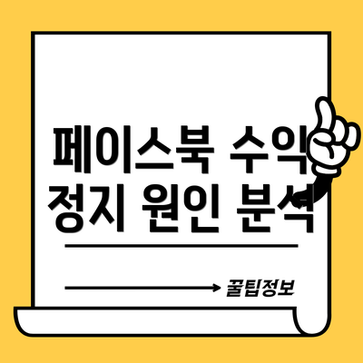 페이스북 수익 정지 원인 분석