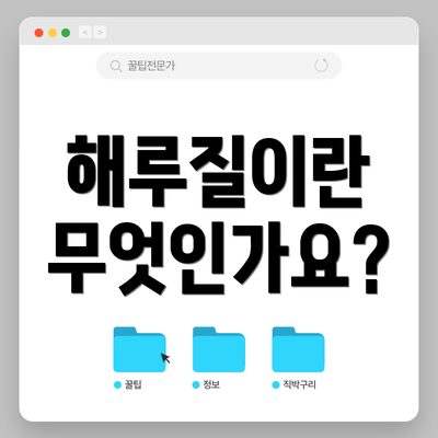 해루질이란 무엇인가요?