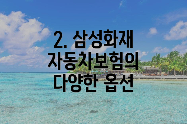 2. 삼성화재 자동차보험의 다양한 옵션
