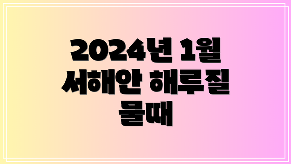 2024년 1월 서해안 해루질 물때