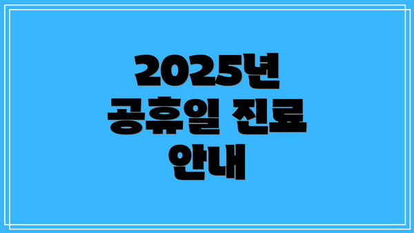 2025년 공휴일 진료 안내