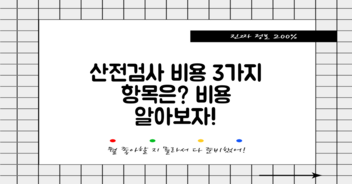 3가지 산전검사 비용 항목