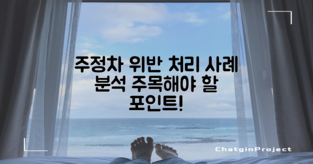 주정차 위반 처리 사례 분석