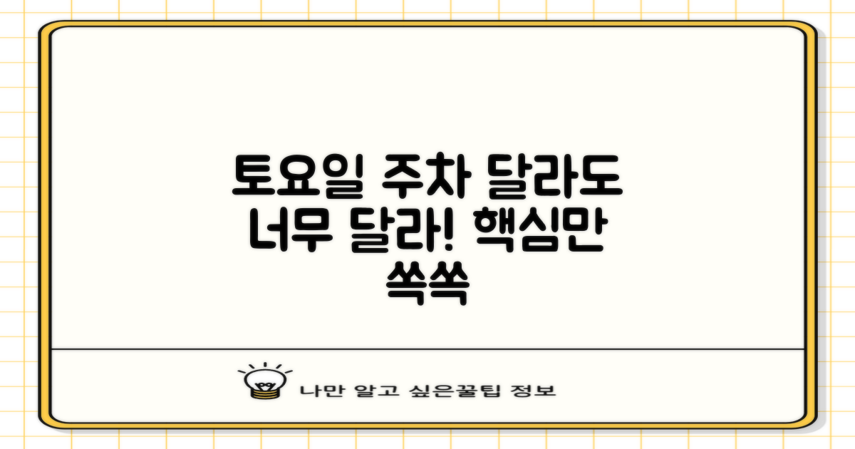 토요 주차: 주중과 다른 점